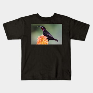 Amethyst Sunbird, South Africa Kids T-Shirt